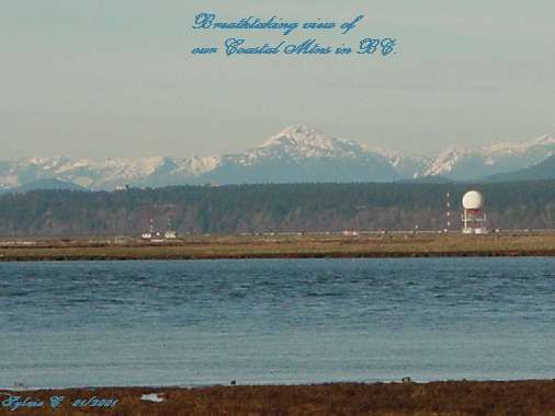 01150panview.jpg