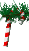 candycane