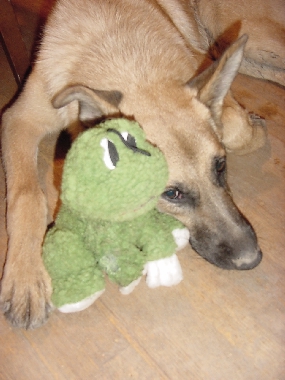 Introducing Dusty April 2001