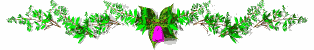 flowerdiv.gif
