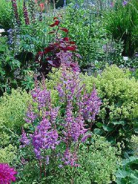 gardens.jpg