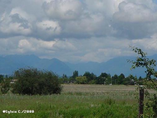 looking north to the mountains