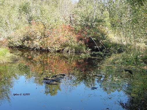 natureparkrichbc.jpg