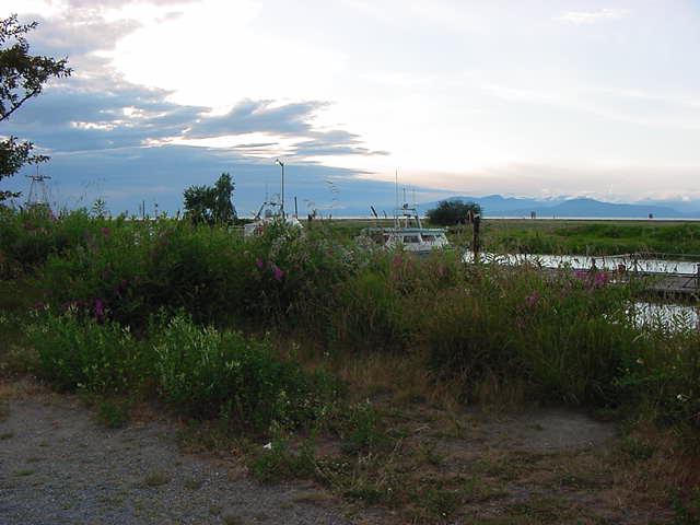 scotchpond.jpg