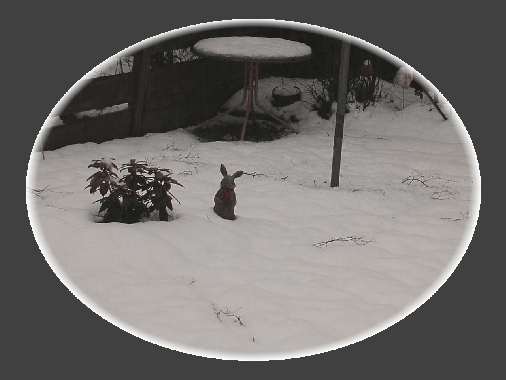 snow121700.jpg